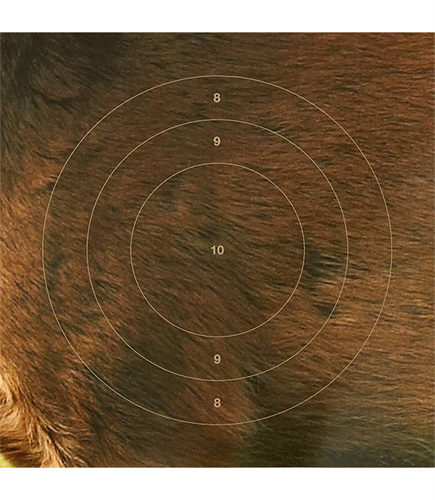 Träffbild till dansk råbock - 10-pack